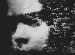 Metamorphosed Bodies of the StarThat Generates Us&nbsp;by Adina Ionescu-Muscel